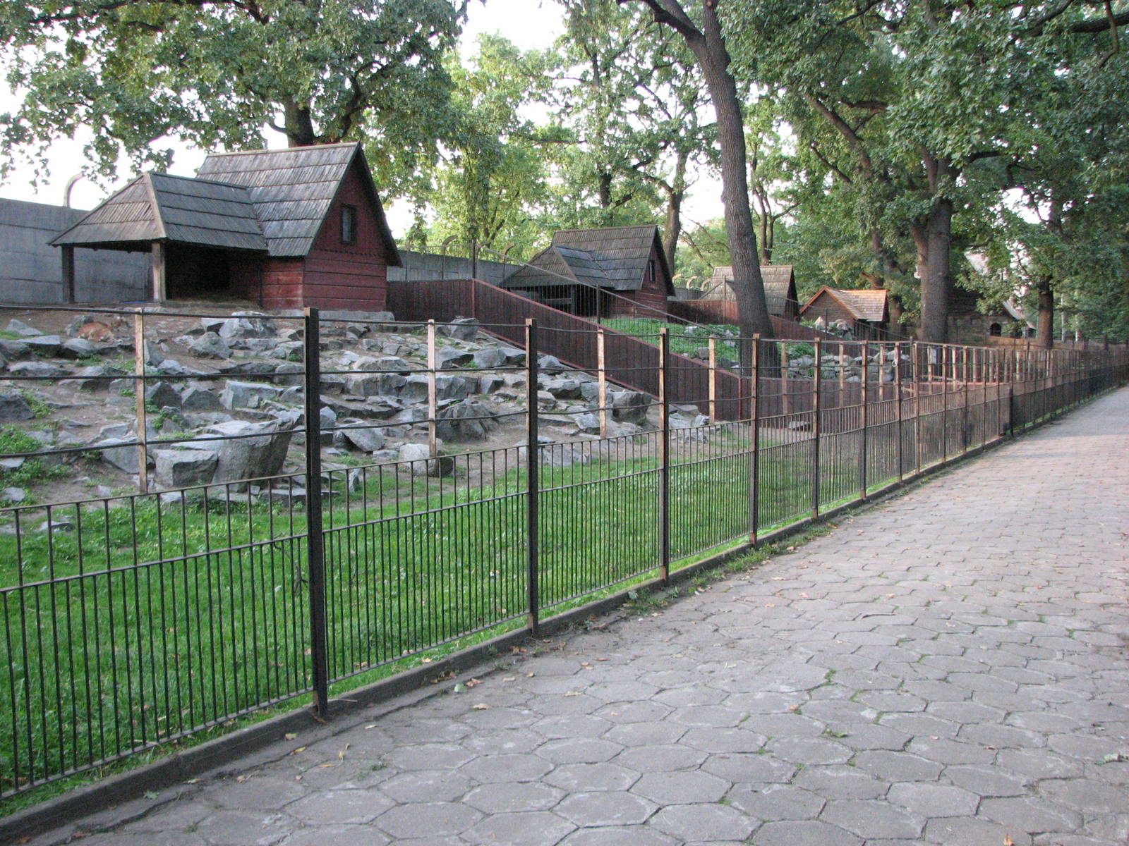 Wroclaw Zoo 2008 - Pathway alongside the goat exhibits