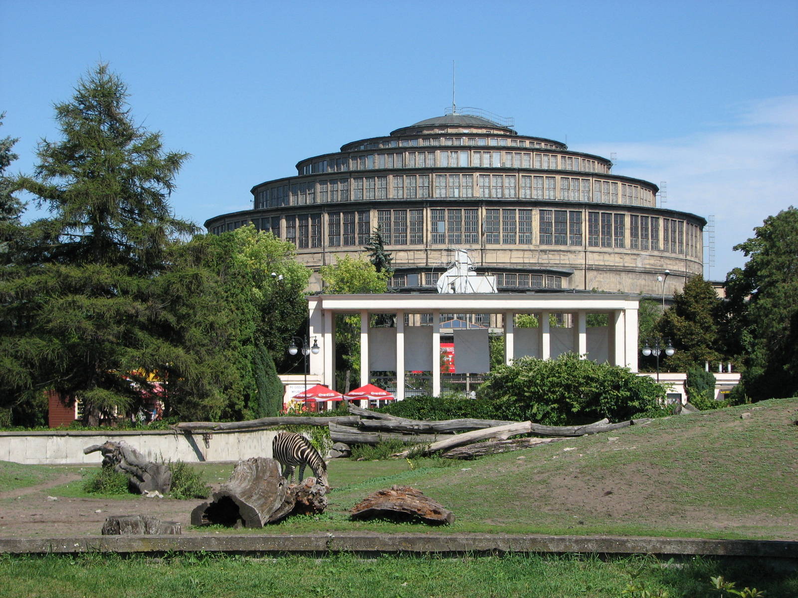 Wroclaw Zoo 2008 - Savannah