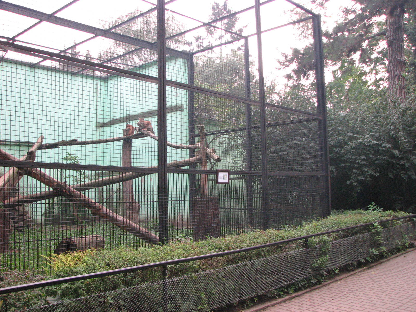 Wroclaw Zoo 2008 - Second enclosure for Northern Lynx