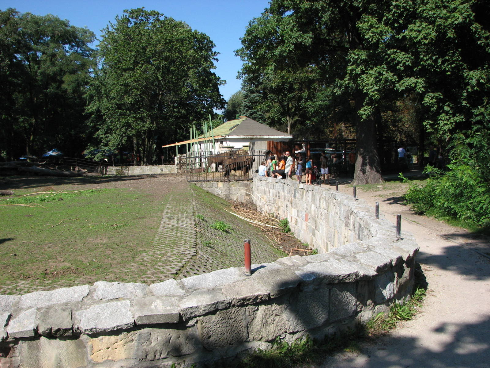 Wroclaw Zoo 2008 - Side-view into the European Wisent paddock