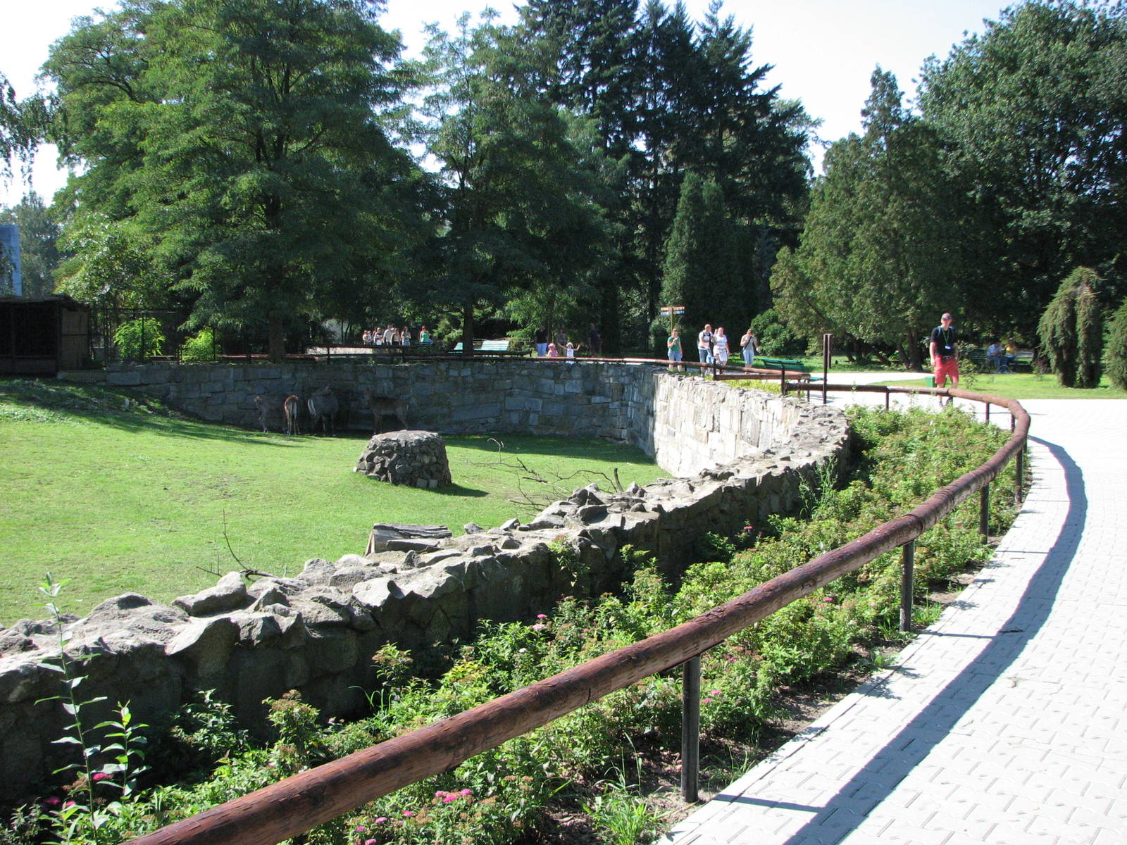 Wroclaw Zoo 2008 - Side-view into the Nilgai paddock