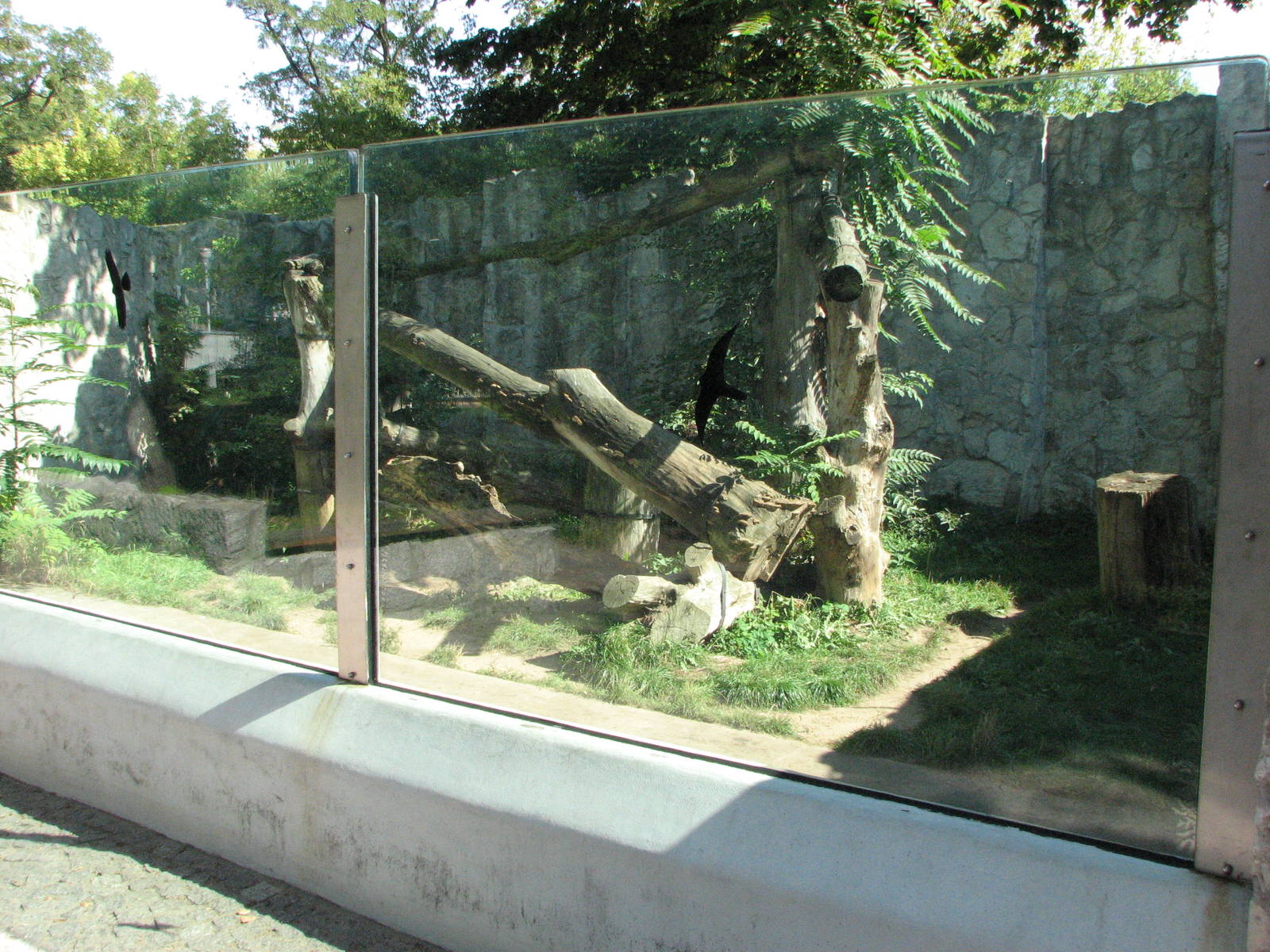 Wroclaw Zoo 2008 - Spectacled Bear exhibit