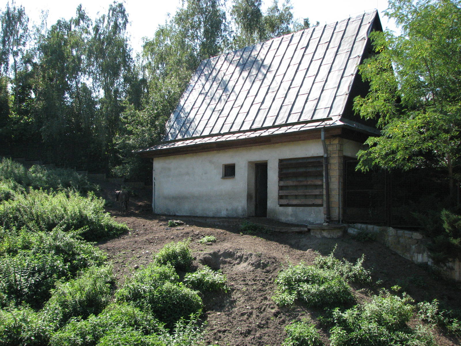Wroclaw Zoo 2008 - Wildebeest exhibit