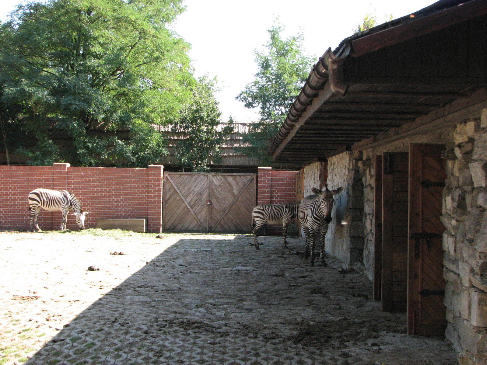 Wroclaw Zoo 2008 - Zebra building