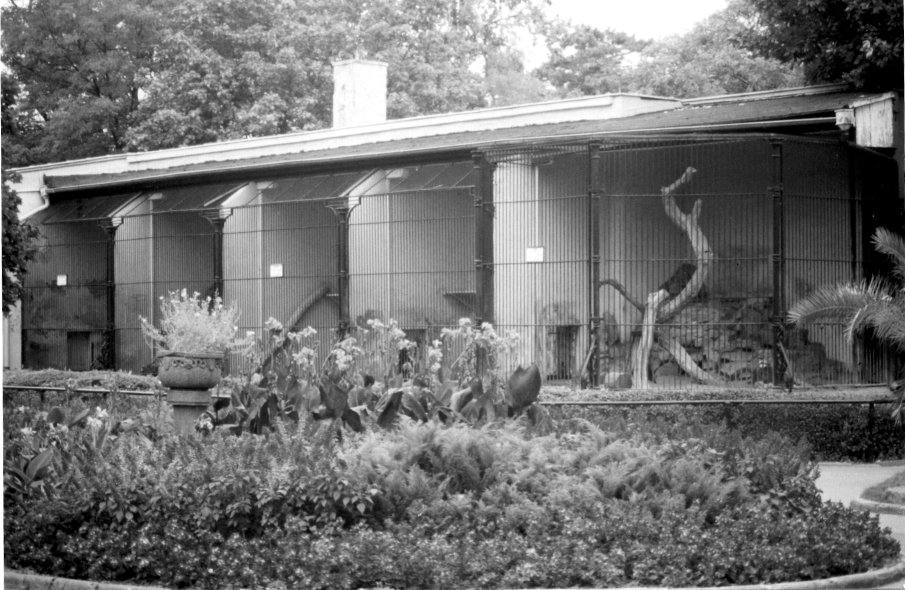Wroclaw Zoo's big cat house, 1999.