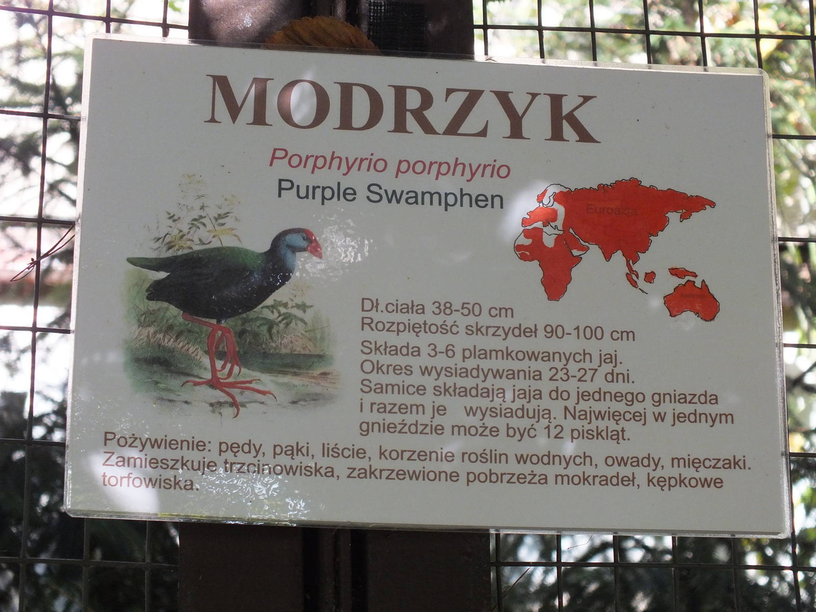 Wrong Distribution map