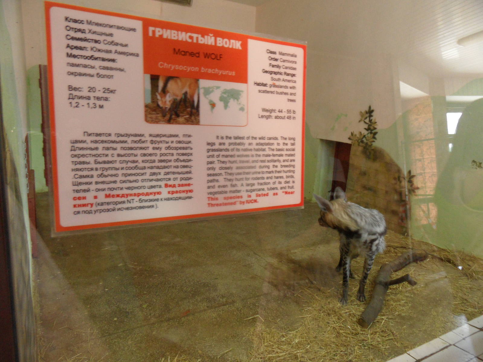 Wrong signage? Doesn't matter for hairless apes