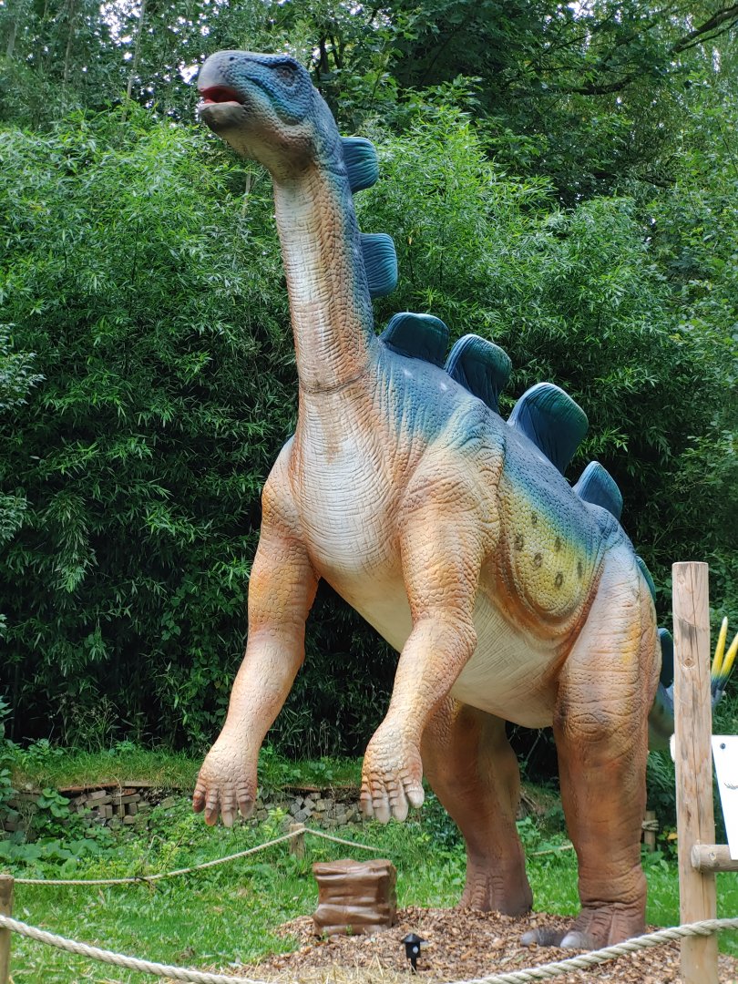 Wuerhosaurus