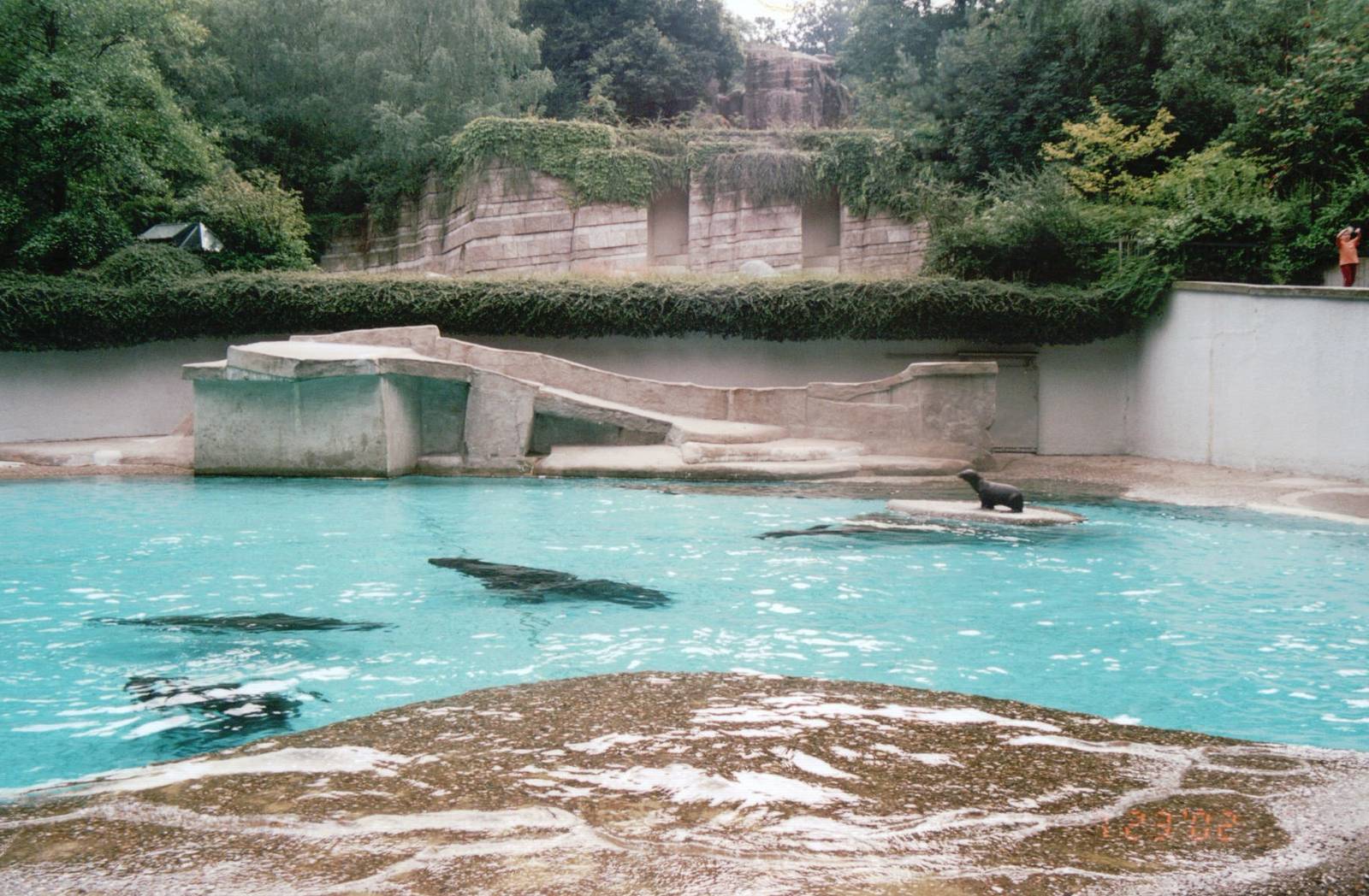 Wuppertal Zoo 2002 - California Sea Lion exhibit and Polar Bear exhibit