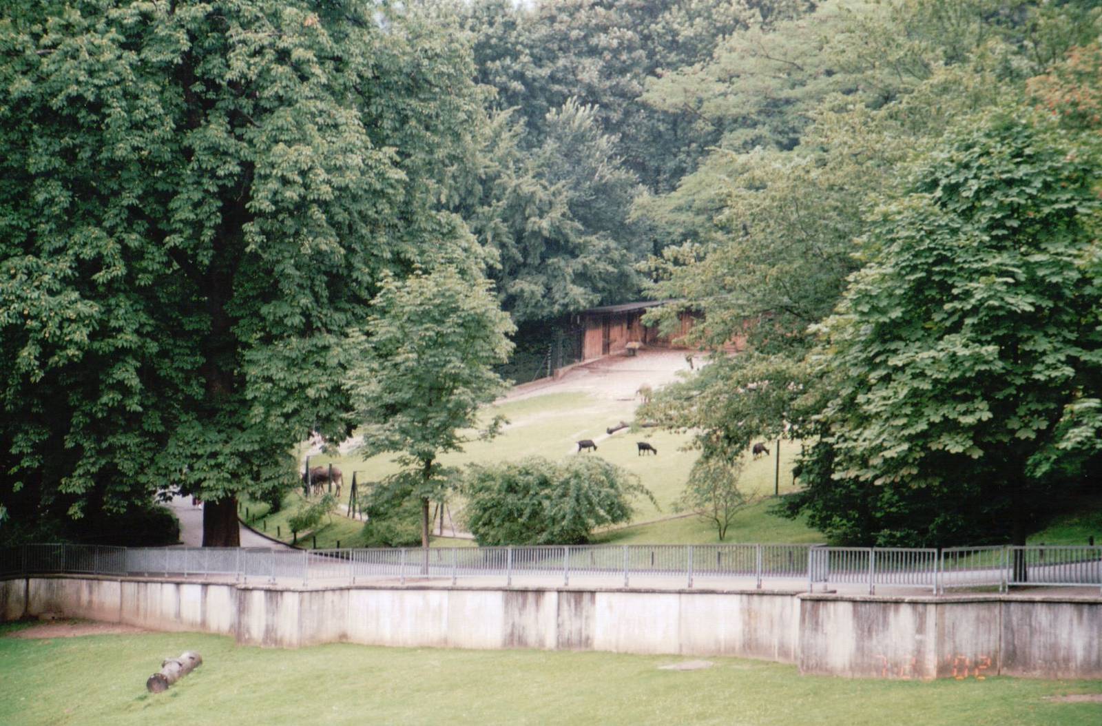 Wuppertal Zoo 2002 - General view on the zoo grounds