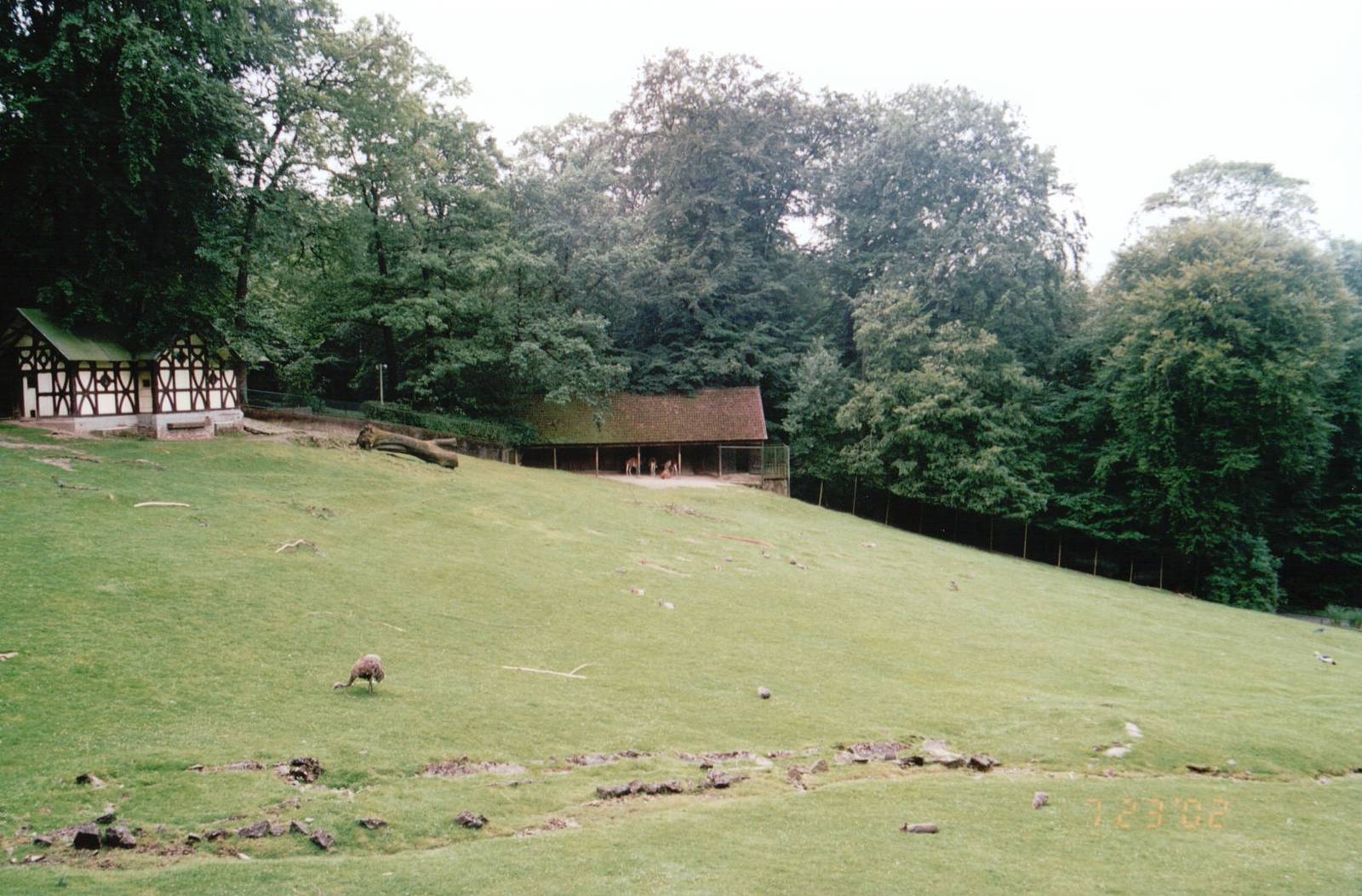 Wuppertal Zoo 2002 - Mixed South America exhibit
