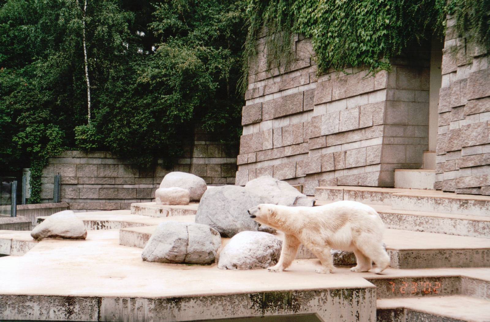 Wuppertal Zoo 2002 - Part of the Polar Bear exhibit