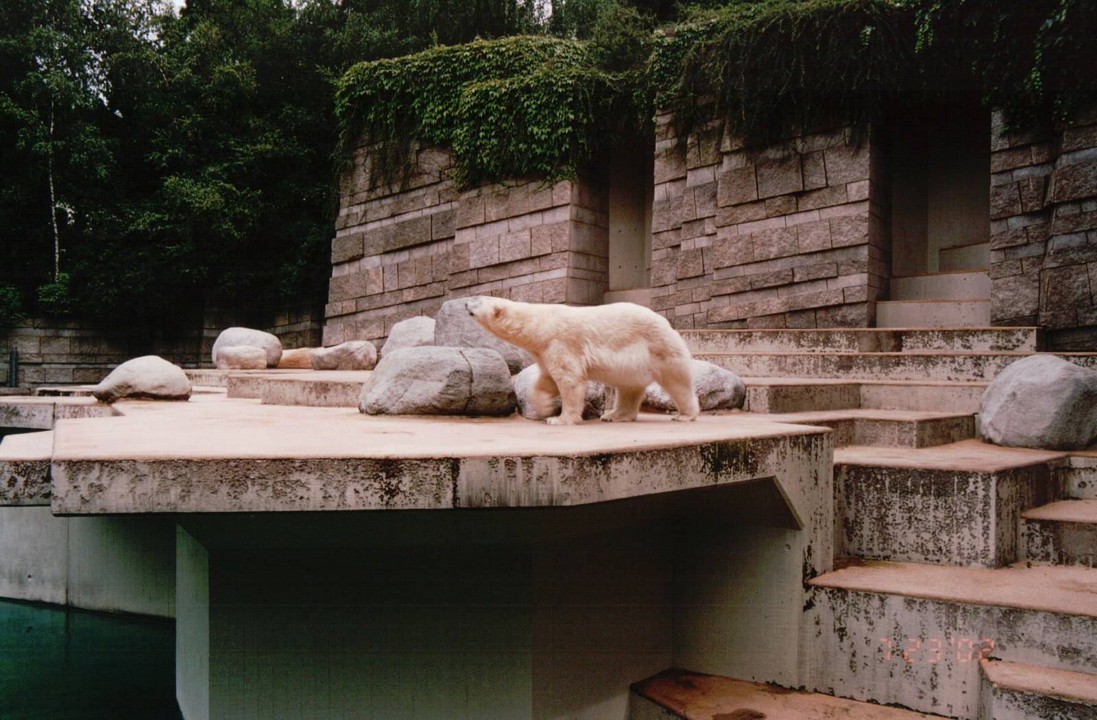 Wuppertal Zoo 2002 - Part of the Polar Bear exhibit