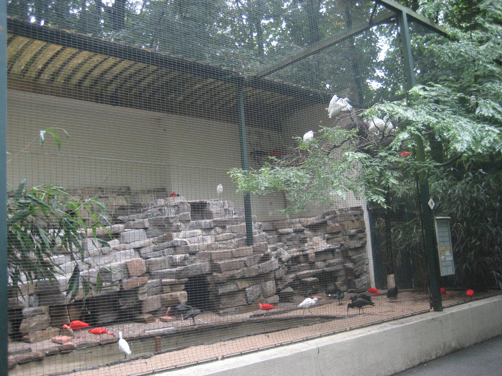 Wuppertal Zoo - Ibis aviary