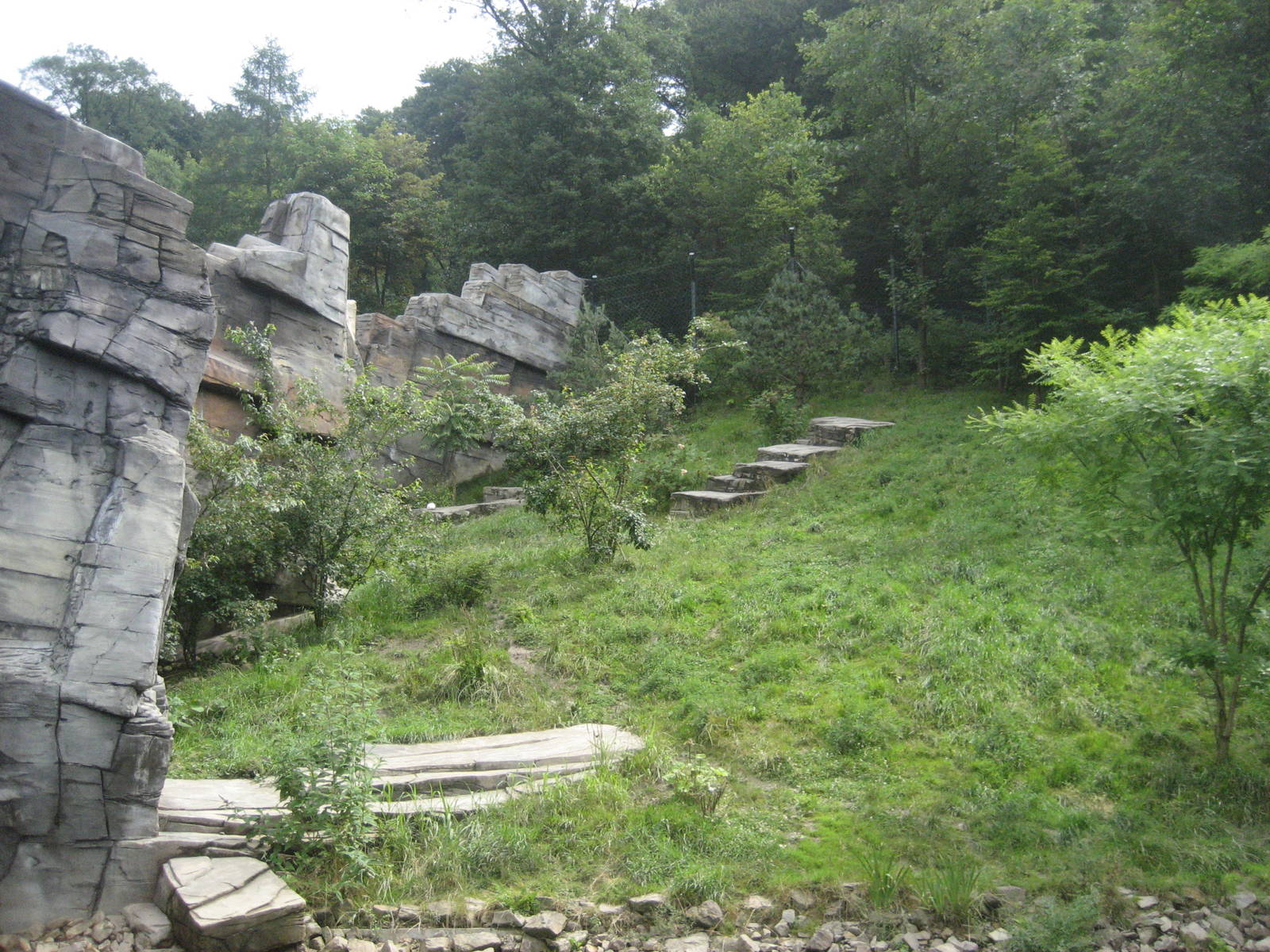 Wuppertal Zoo - Tiger Taiga