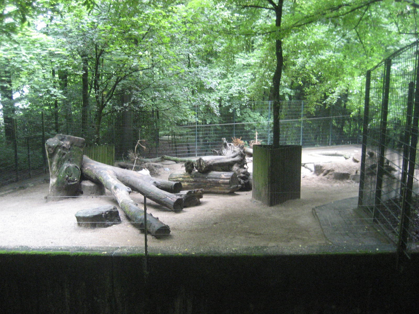 Wuppertal Zoo - Wolf exhibit
