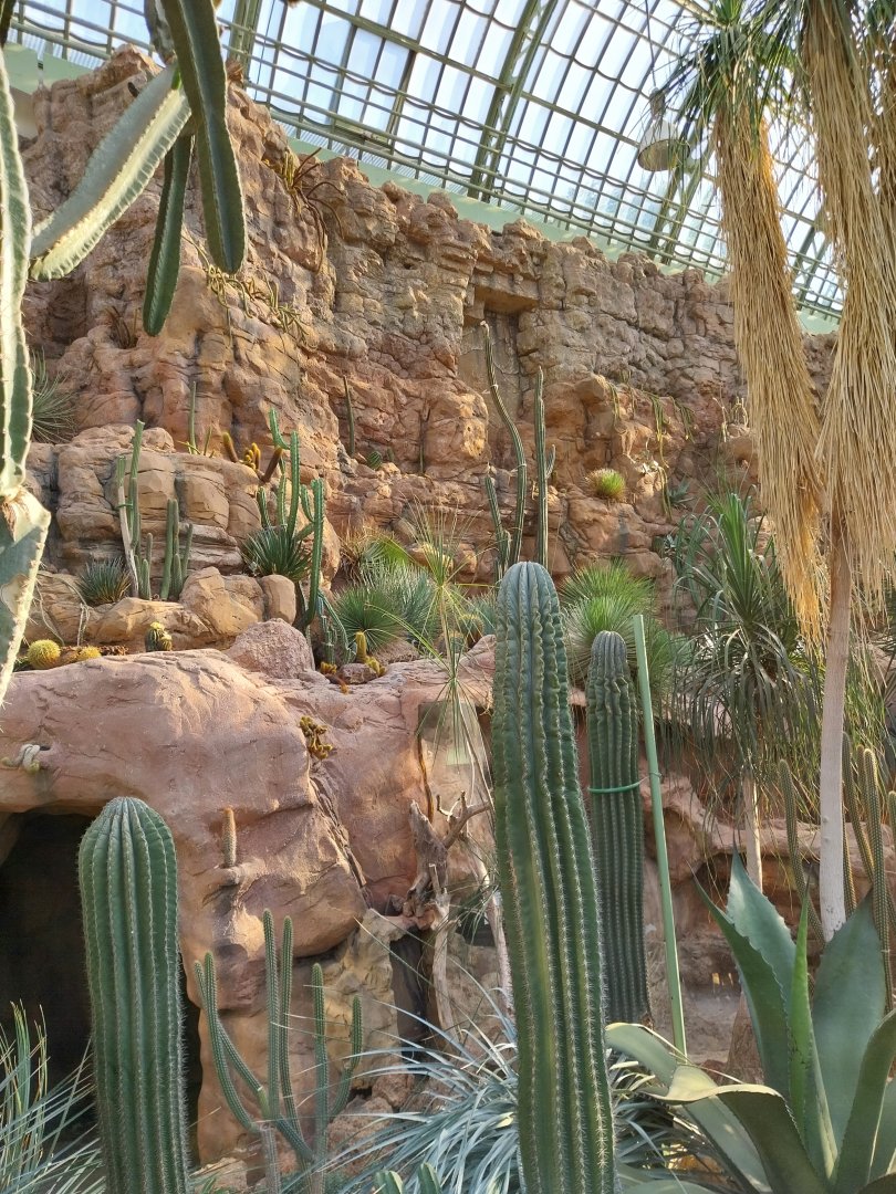 Wüstenhaus - American desert