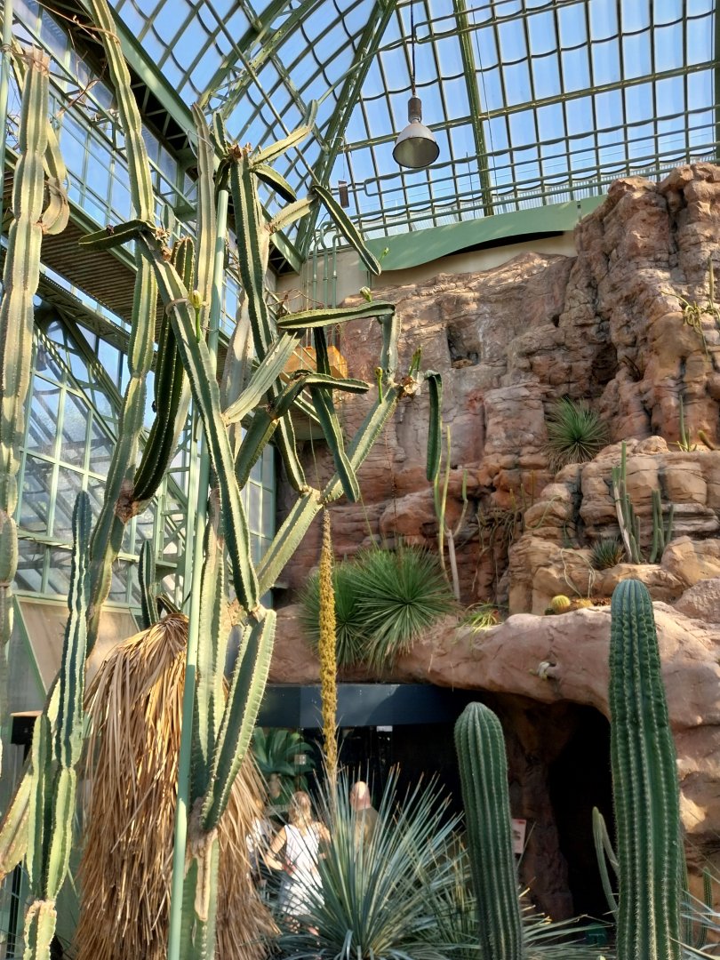 Wüstenhaus - American desert