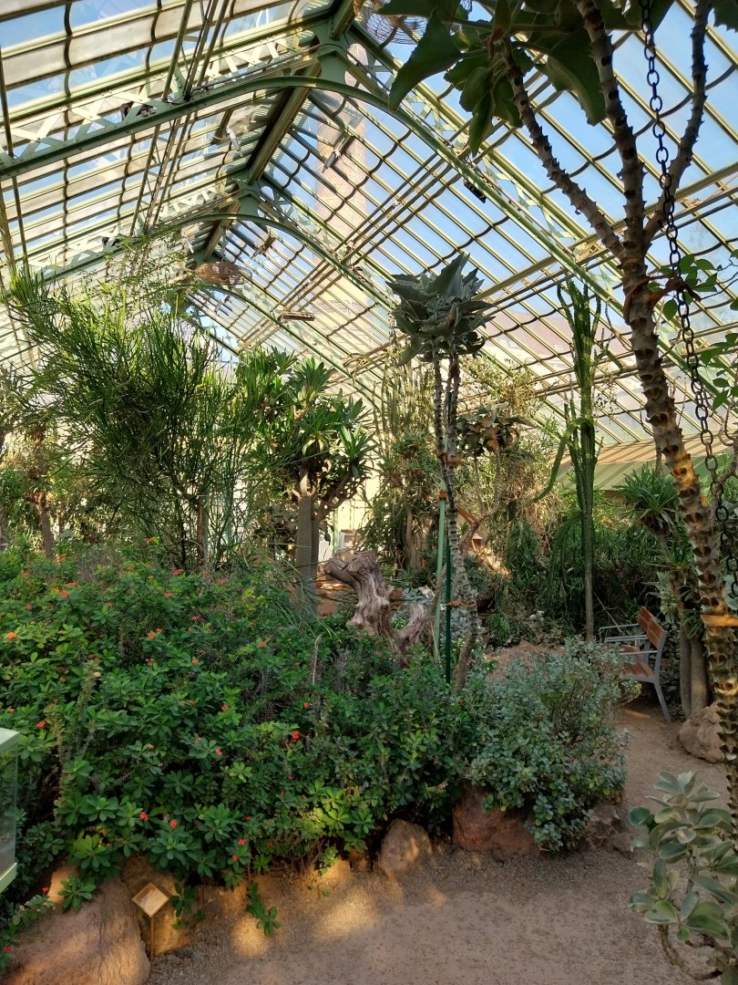 Wüstenhaus - Cold conservatory