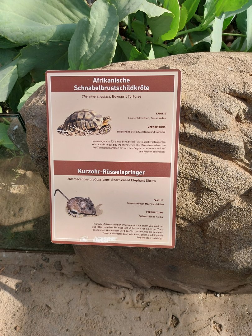 Wüstenhaus - Main conservatory (American desert) - Animal signs