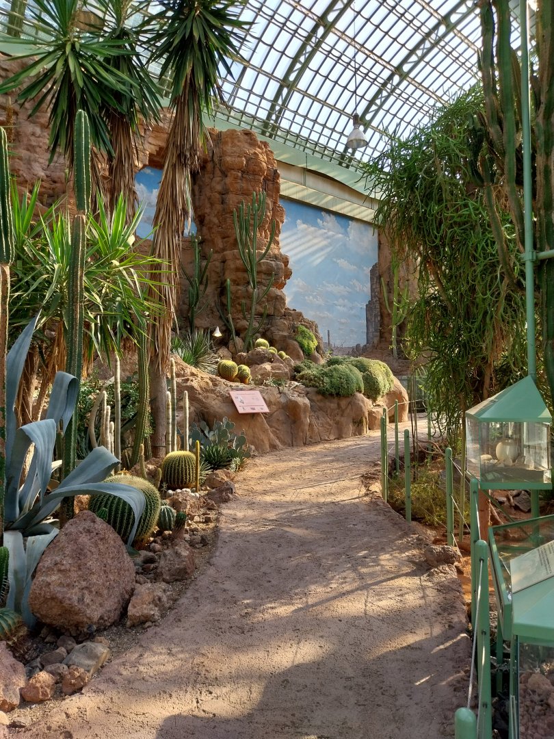 Wüstenhaus - Main conservatory (American desert)