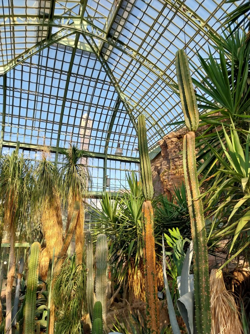 Wüstenhaus - Main conservatory (American desert)