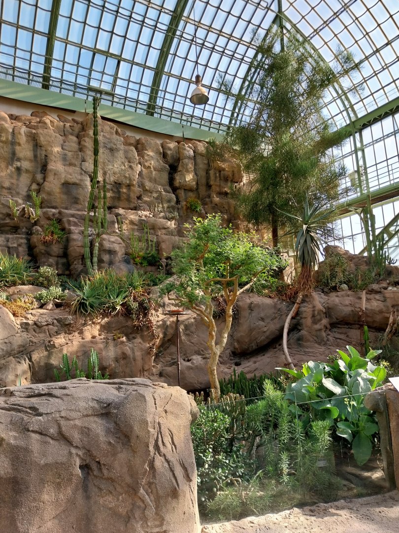 Wüstenhaus - Main conservatory (American desert)
