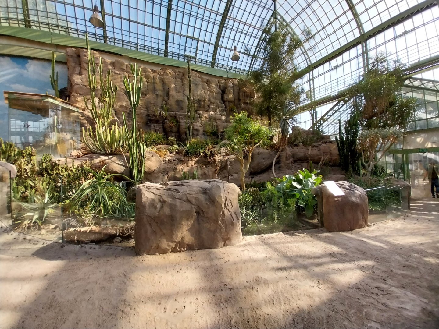 Wüstenhaus - Main conservatory (American desert)