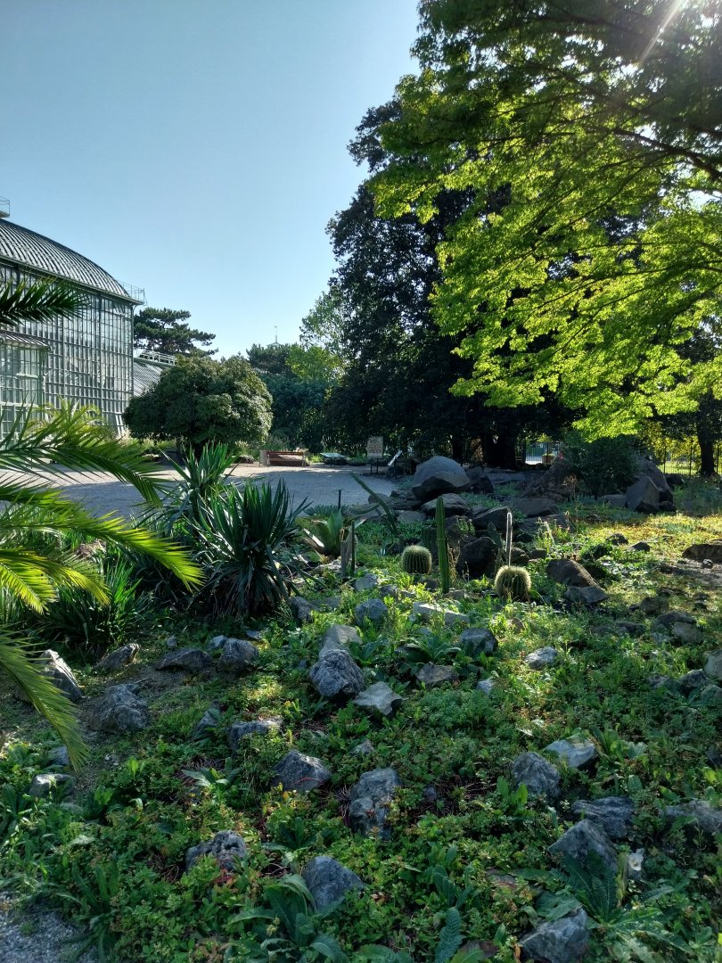 Wüstenhaus - Summer garden