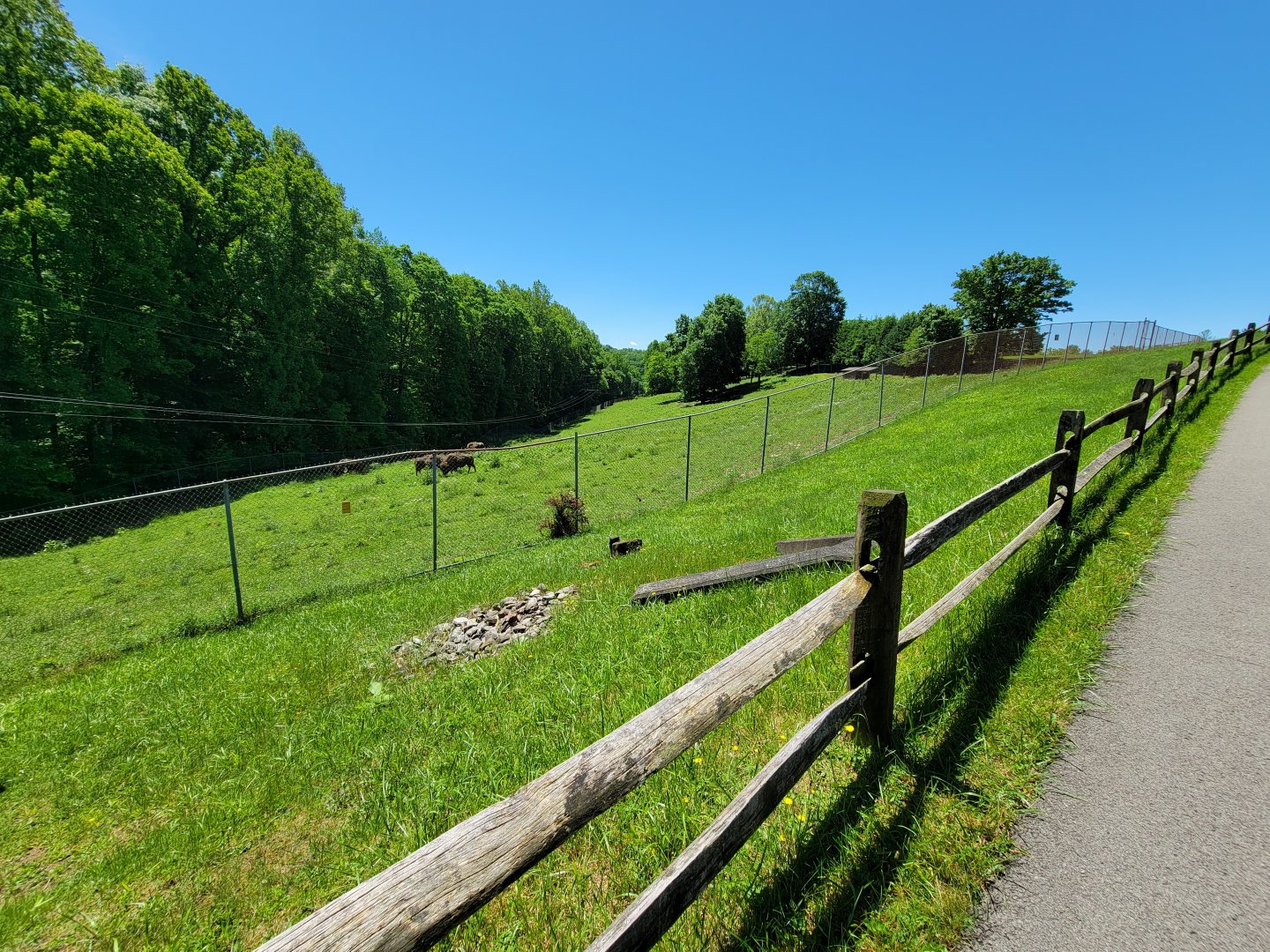 WVSWC - Bison yard from path