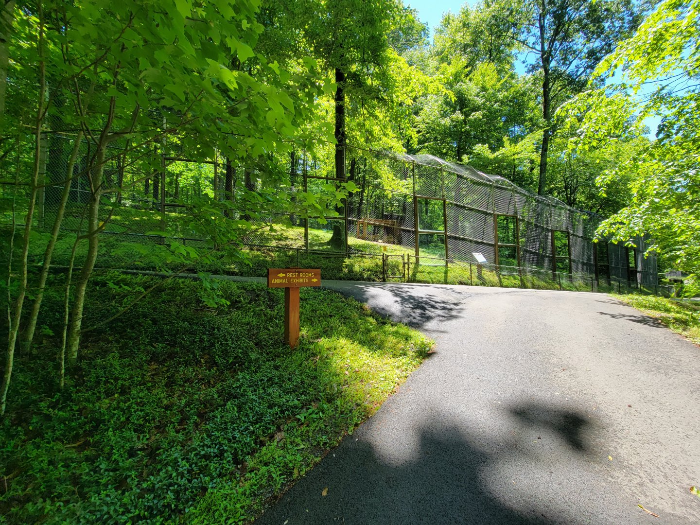 WVSWC - First fenced exhibit, mountain lion