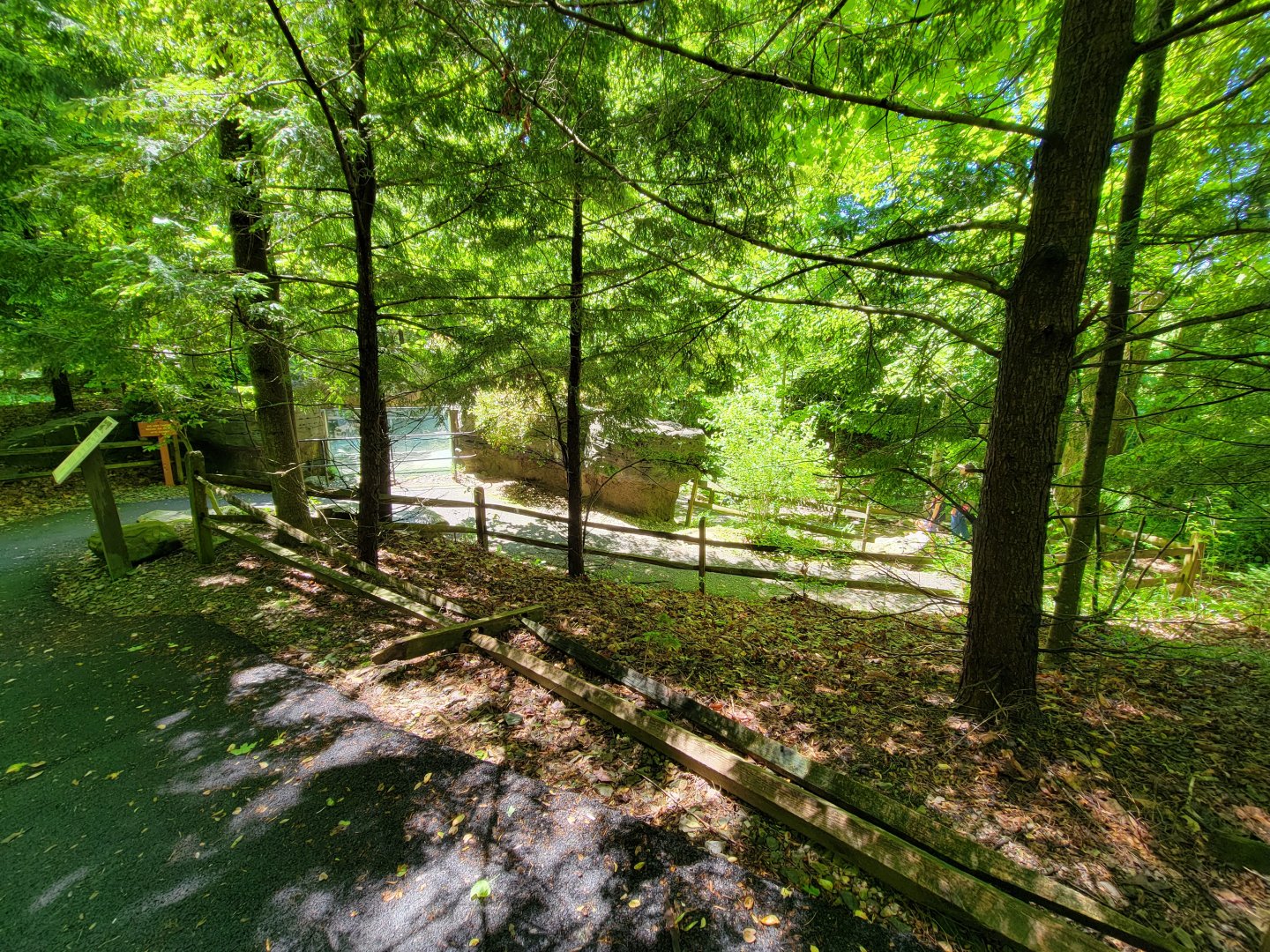 WVSWC - First sighting of an exhibit (NARO)