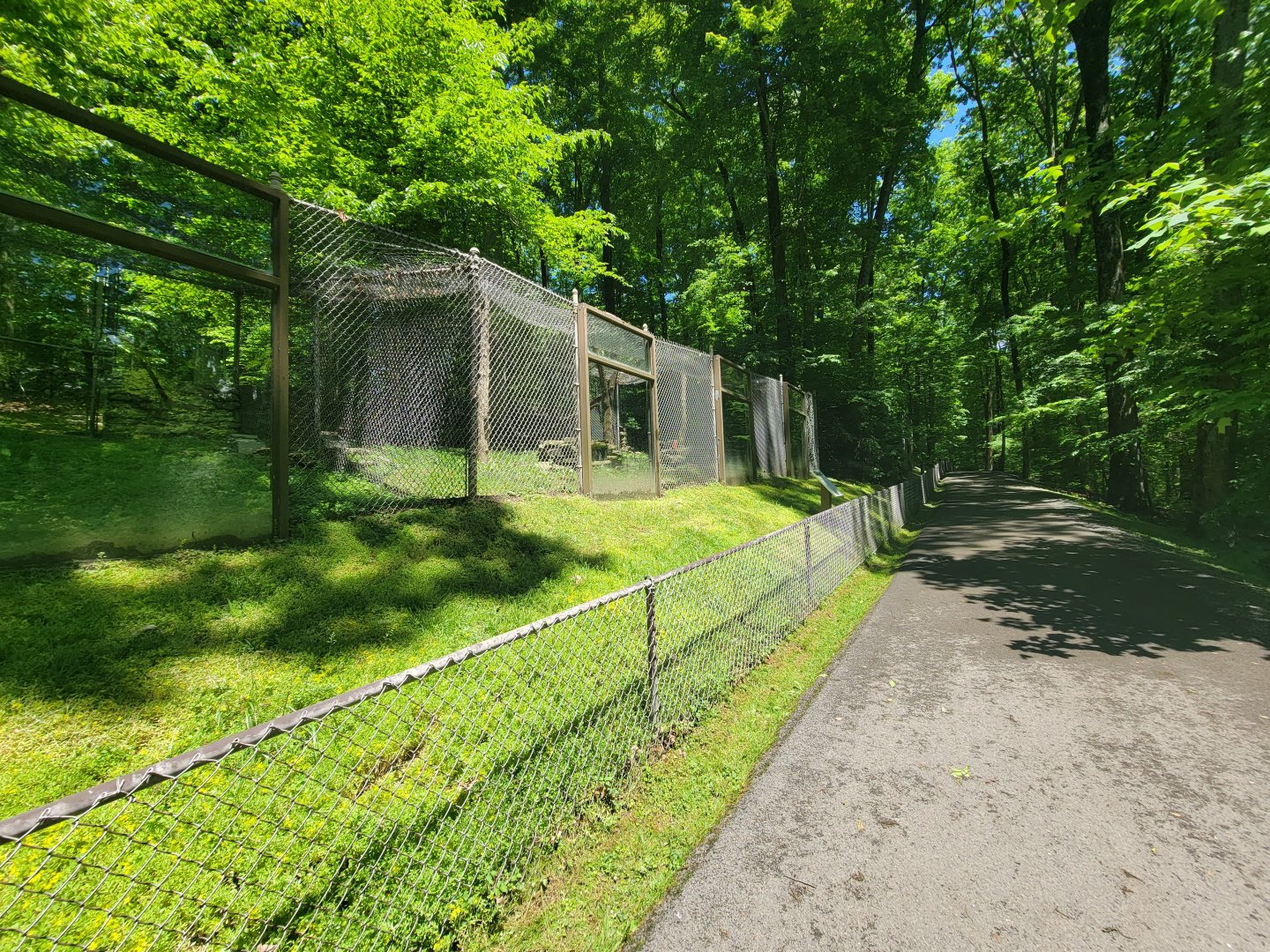 WVSWC - Fisher / pekan