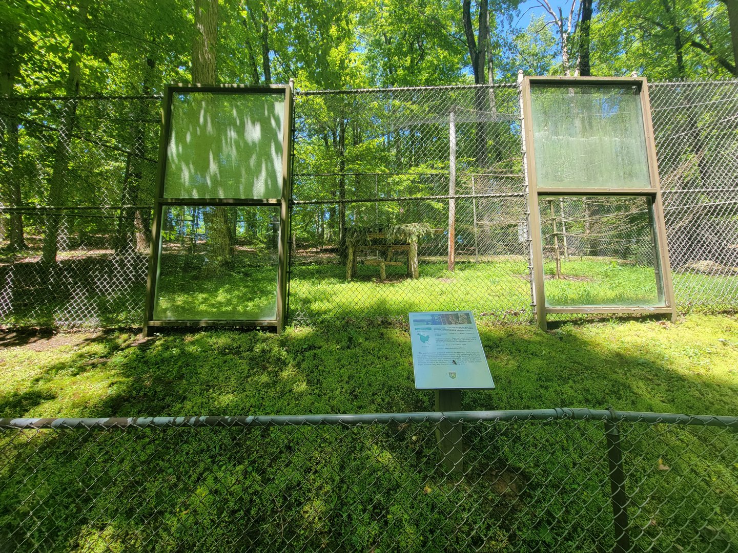 WVSWC - Great horned owl