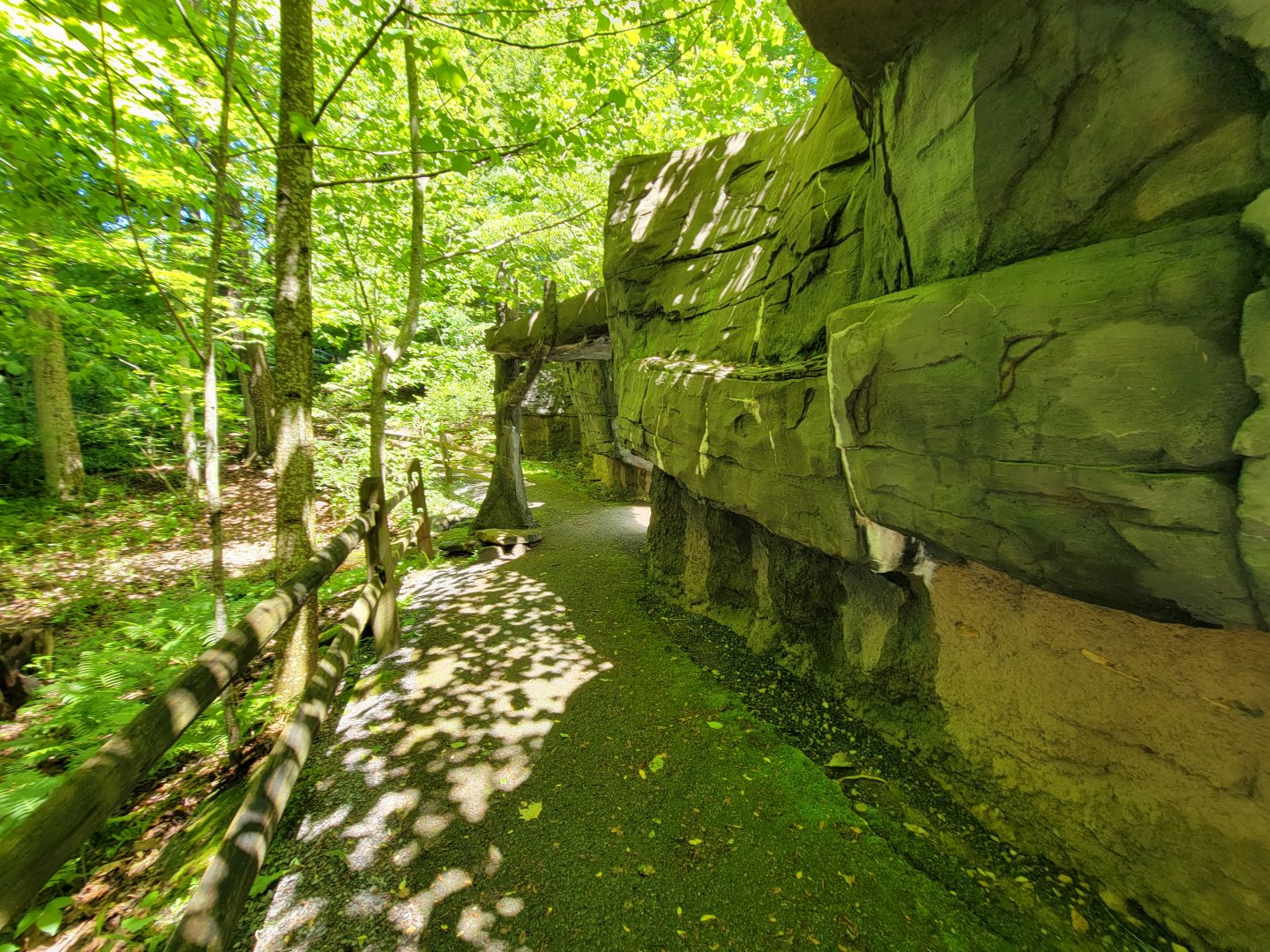 WVSWC - NARO exhibit, looking back