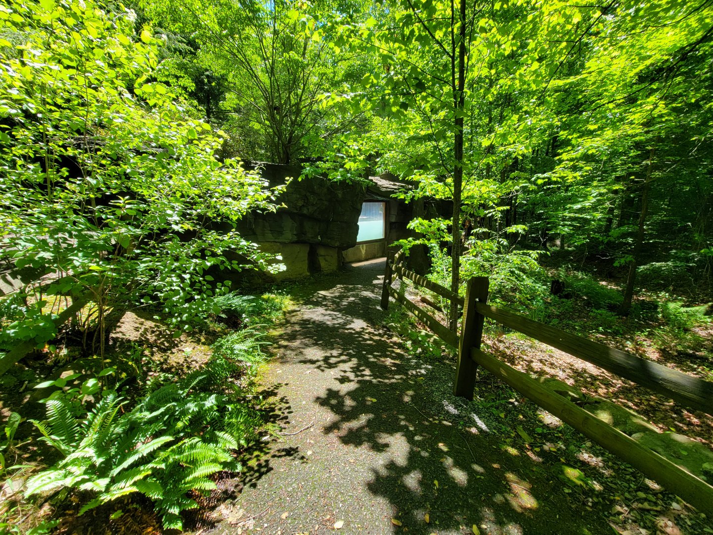 WVSWC - NARO exhibit, next viewing window