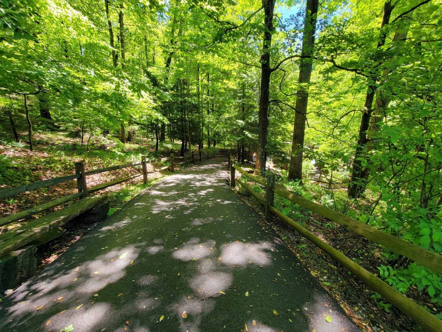 WVSWC - Path into woods