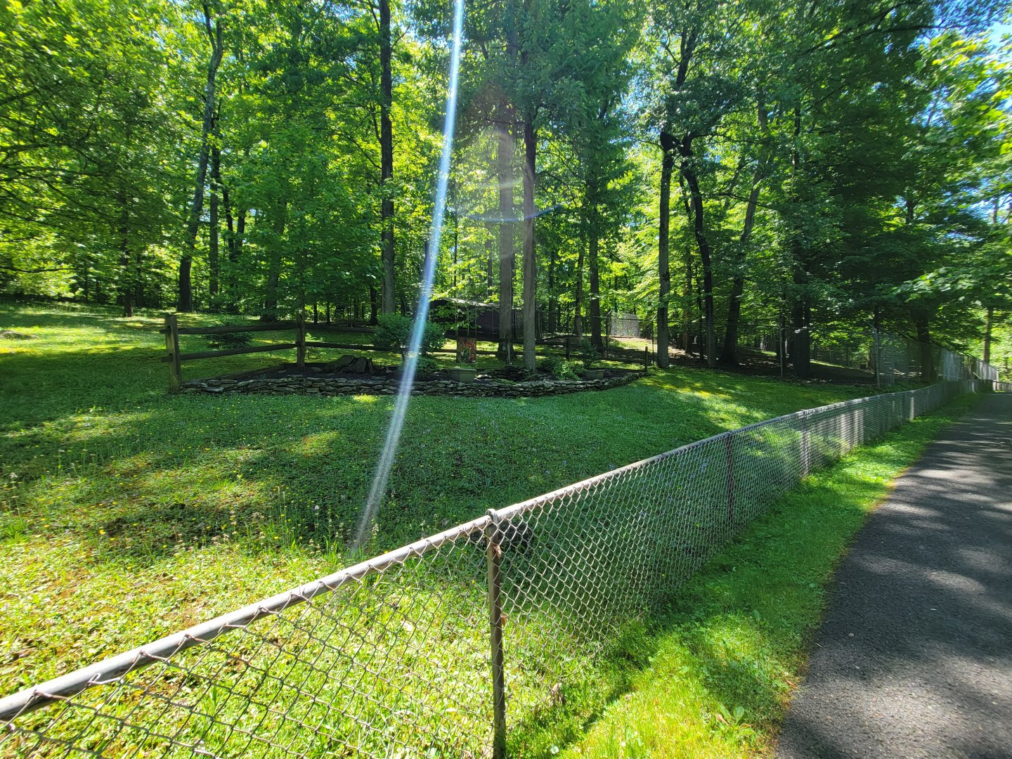 WVSWC - Pollinator garden