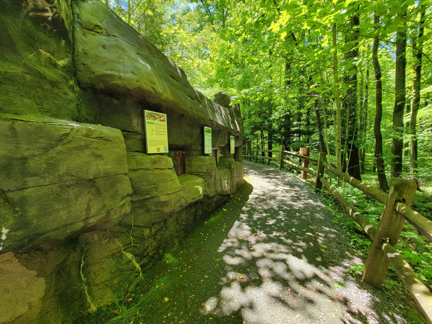 WVSWC - Snakes built into side of NARO exhibit