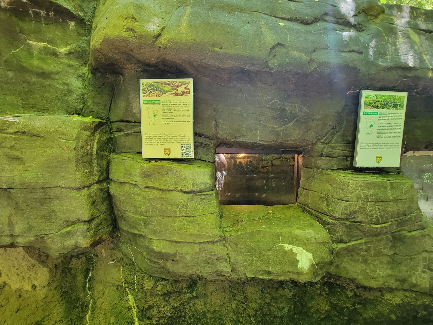 WVSWC - Snakes built into side of NARO exhibit