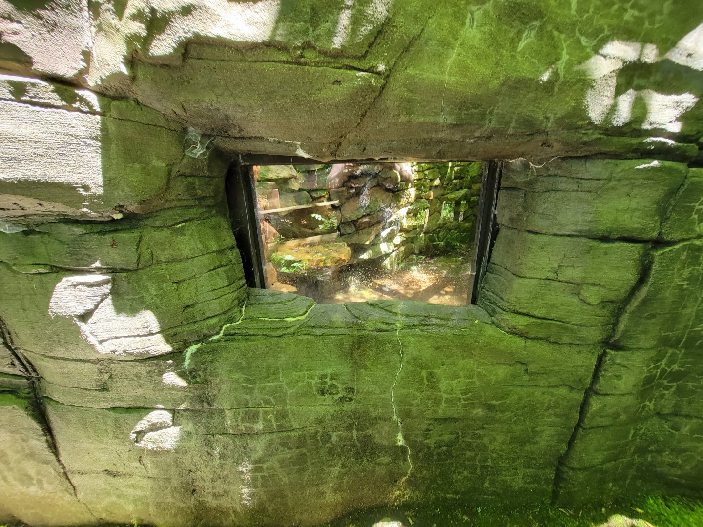 WVSWC - Snakes built into side of NARO exhibit