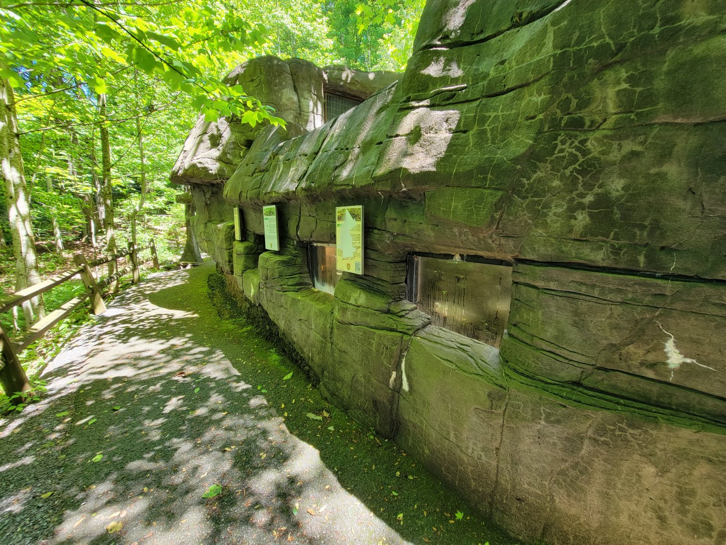 WVSWC - Snakes built into side of NARO exhibit