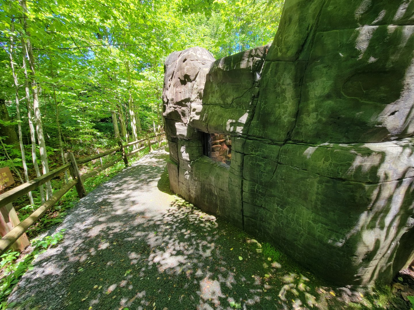 WVSWC - Snakes built into side of NARO exhibit