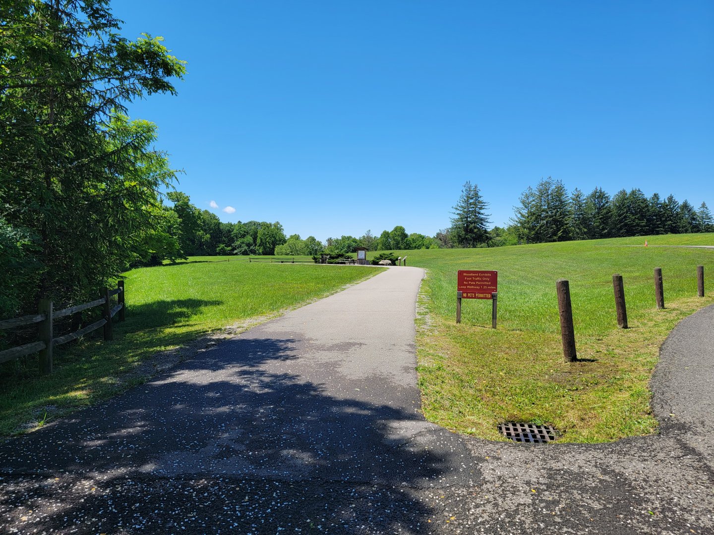 WVSWC - Start of big path down to animals other than elk