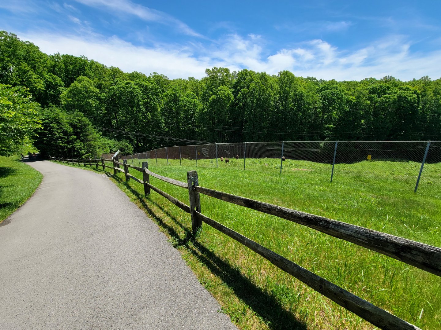 WVSWC - Steep path into woods to see other animals