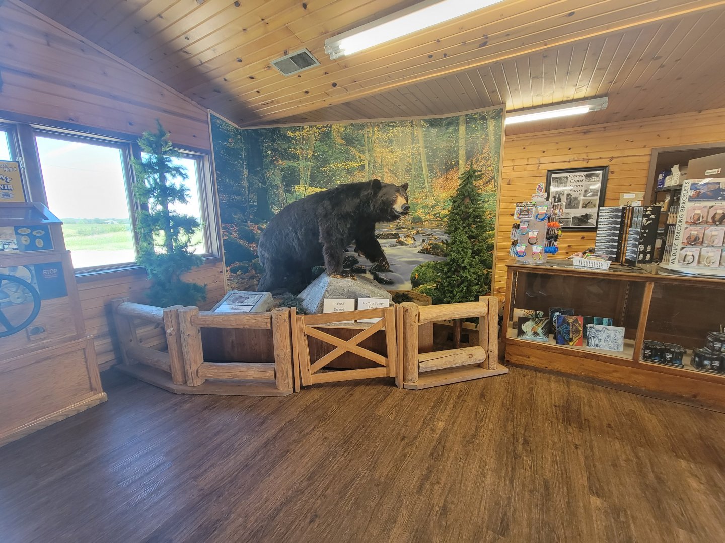 WVSWC - Stuffed black bear in gift shop