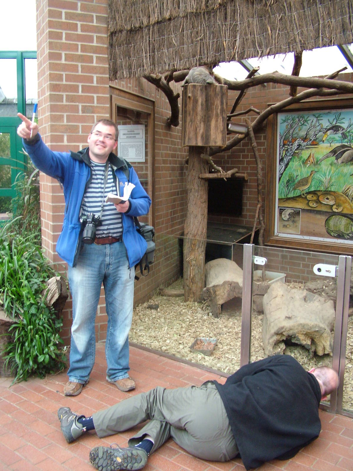 Xenarthran spotting at Dortmund 11/05/2009