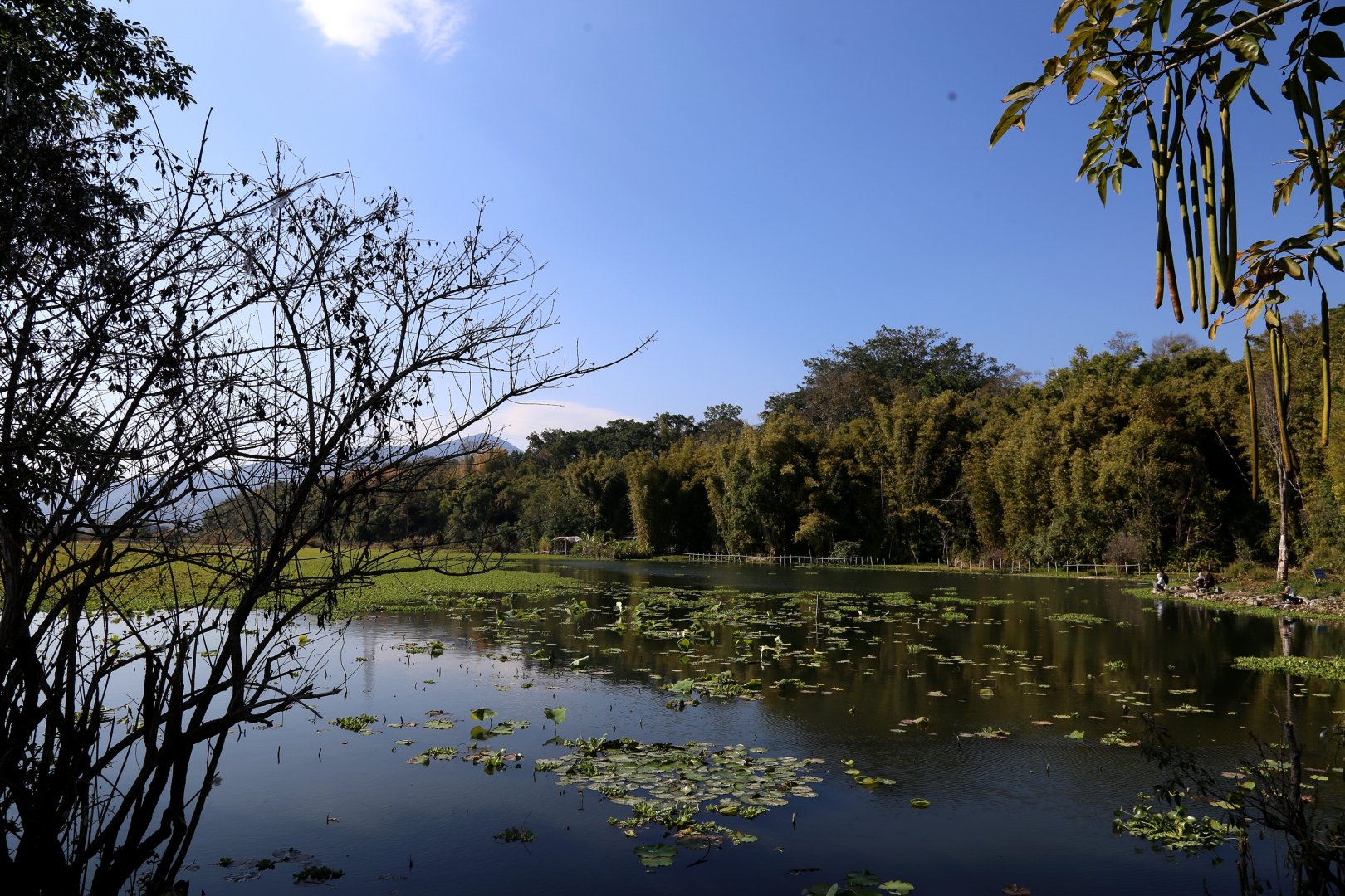Xiang’e Lake, Yingjiang