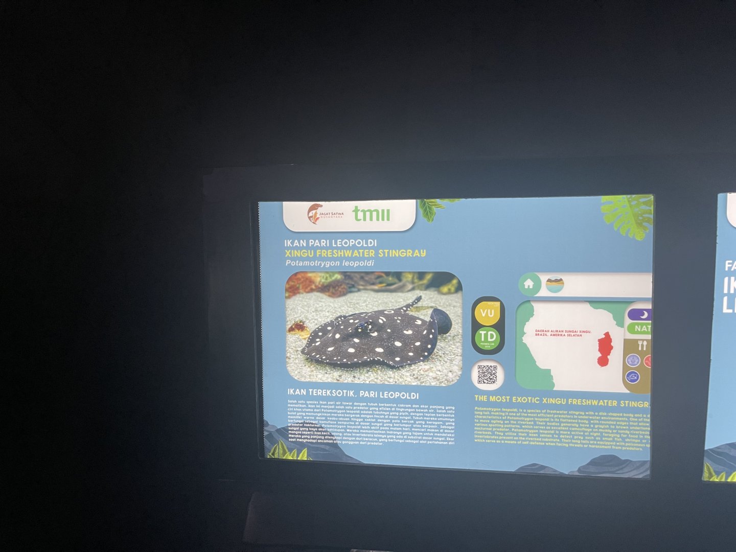 xingu river ray signage (1) - dunia air tawar