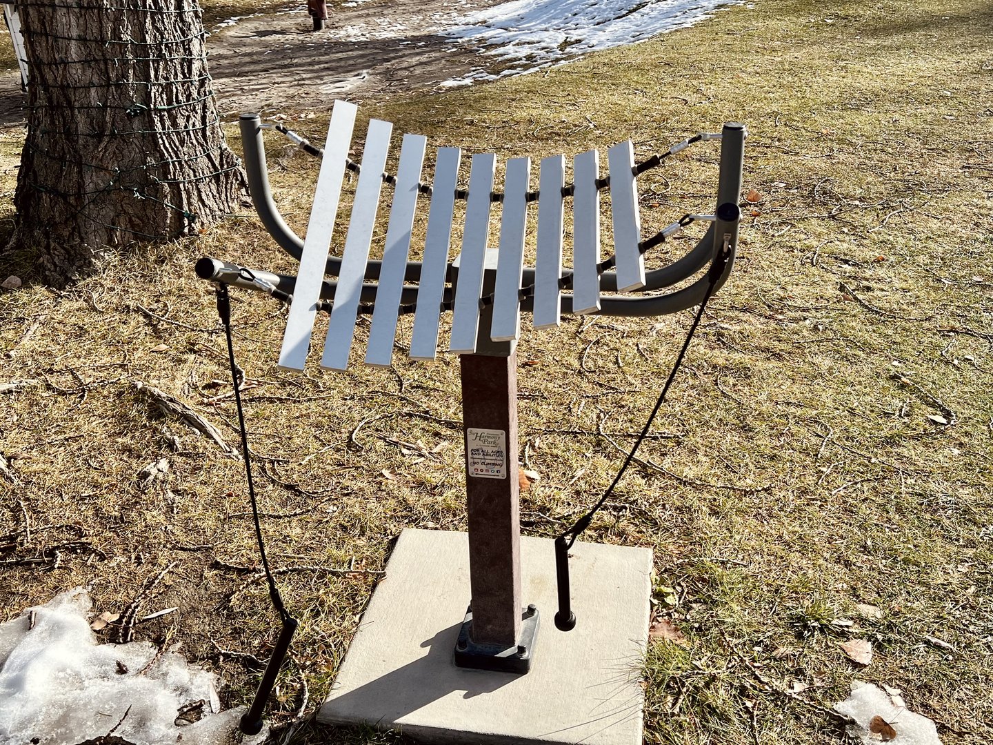 Xylophone for the kids